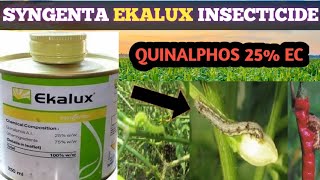 SYNGENTA EKALUX INSECTICIDE  QUINALPHOS 25 EC  systamic insectiside [upl. by Mehalick718]