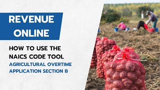 How to Find and Use NAICS Codes for Oregons Agricultural Overtime Application [upl. by Ardnuaek]