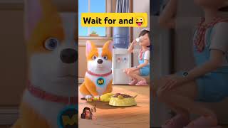 Kuta aur admi ke mast dog corgi funny animation animation status pets shorts viral video 😛😜 [upl. by Nnaael161]