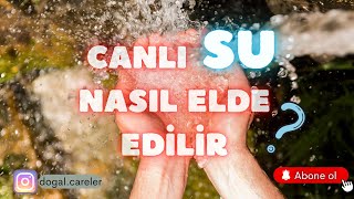 Suyumuzu Nasıl Canlandırırız  Canlı Su Nasıl Elde Edilir  Bilimsel Kanıt [upl. by Emya]