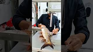 Beautiful fish cutting skills video giant live big rohu fish cutting skills shorts fish youtube [upl. by Ttemme]