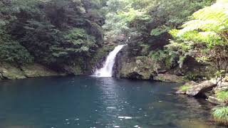 236【奄美大島／観光】マテリヤ滝（Amami Oshima  Materiya Falls） [upl. by Townsend193]