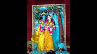 Adharam Madhuram I Radha Krishna 🙏😍shortsstatus radhakrishna [upl. by Eintihw]