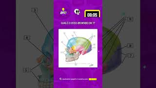 Quiz de anatomia  Ossos do Crânio [upl. by Enicar]