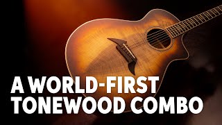 A World First Breedloves Amazing New “Myrzilian” Acoustic Guitar [upl. by Anitsyrk]