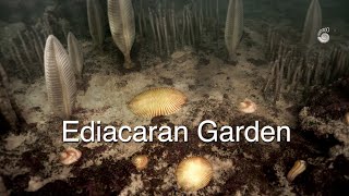 Ediacaran Garden the first animals [upl. by Adnik]