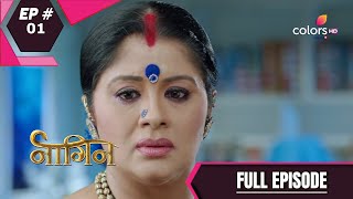 Naagin  Season 1  नागिन  Episode 1 [upl. by Navac]