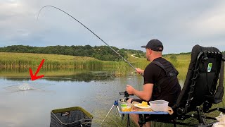 Fishing for Crucian CARP with a 5 meter rod ENG SUB [upl. by Tobin764]