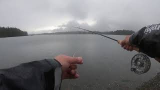 First Time Fly Fishing EVER Billing Spit [upl. by Garges]