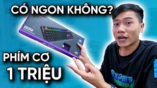 Phím cơ dưới 1 TRIỆU liệu có NGON  Cooler Master CK350 [upl. by Drain542]