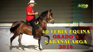 40 FERIA EQUINA GRADO A Sabanalarga 2014 [upl. by Carrissa]