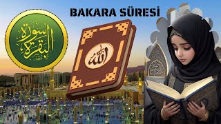 BAKARA SURESİ 1 CÜZ [upl. by Dredi]