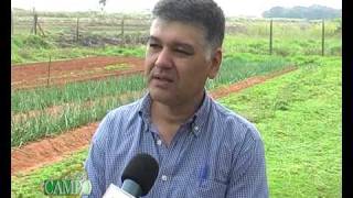 Producción de cebolla como alternativa a productores de hortalizas [upl. by Horbal]