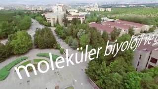 Moleküler Biyoloji ve Genetik Bölümü teaser [upl. by Flavio957]