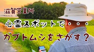 カブトムシを探せ🌳オークラロジ🔹秋の納車に向けて [upl. by Ogu725]