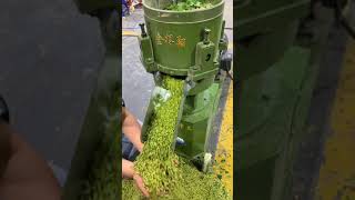 Fresh grass pellet making machine exportwoodpellet woodpelletmachine machine woodpelletfactory [upl. by Sutherland884]