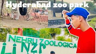 Hyderabad zoo park ❤️‍🔥explore struggle vlog [upl. by Licht690]