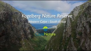 Kogelberg Nature Reserve the Capes floral wonderland [upl. by Anirak]