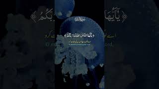 alkareem duet alquran beautifulrecitaion [upl. by Muffin]