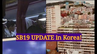 SB19 WELCOME to SOKOR KOREA PABLO TIKTOK UPDATE [upl. by Selene]