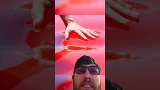 Worlds Largest Jello Pool  highheatrichie reacts with commentary [upl. by Umeh]