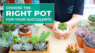 SUCCULENT BEGINNER TIPS WHY POT SIZE AND POT MATERIAL ARE IMPORTANT IN GROWING SUCCULENTS [upl. by Etom177]