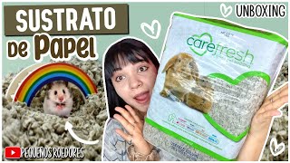 COMPRE este SUSTRATO de PAPEL para mi HAMSTER SIRIO 🐹 CAREFRESH [upl. by Jenesia]