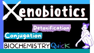 Xenobiotics  Metabolism of Xenobiotics  Detoxification  Conjugation  Biochemistry MBBS 1st yr [upl. by Elohcan469]