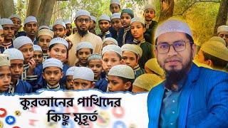 কুরআনের পাখিদের কিছু মুহূর্ত।মাদ্রাসাতুল হিদায়া ।madrasah madrasatulhidaya [upl. by Alleira]