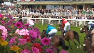 This Racing Life York racecourse Richard Fahey and more  Racing TV [upl. by Abehshtab472]