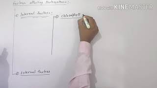 Factors affecting photosynthesis [upl. by Aisereht]