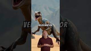 Epic Dinosaur Duel Velociraptor vs Protoceratops [upl. by Enyale]