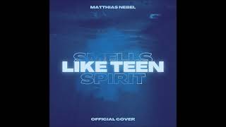 Smells Like Teen Spirit  Nirvana Cover by Matthias Nebel [upl. by Marcell]