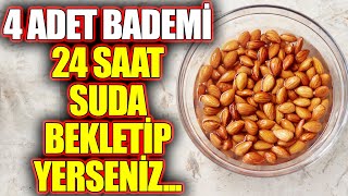 4 Adet Bademi 24 Saat Boyunca Suda Bekletip Yediğinizde Neler Olur [upl. by Yenreit125]