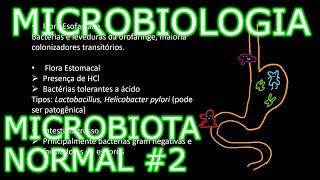 Aula Microbiologia Médica 3  Microbiota Normal 2 [upl. by Pettit880]