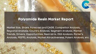 Polyamide Resin Market Report 2024 [upl. by Eerahc]