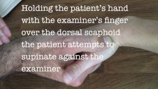 scaphoid examination [upl. by Anoerb320]