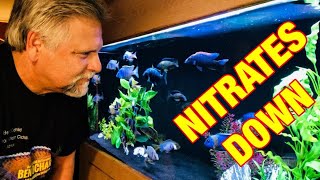 My 5 Tips for Reducing Nitrates THESE WORK  Stop Worrying About Nitrates [upl. by Atinhoj651]