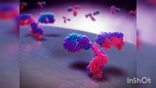 Glycoprotein structure and functionbiochemistryglycoprotein [upl. by Sacken]