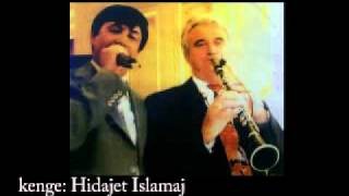 Gurbet o sta kam zilin  Hidajet Islamaj [upl. by Mccahill]