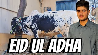 Bakra Eid Special  VLOG 30 [upl. by Atiekahs]