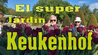 ¿Cuál es el mayor secreto detrás de la impresionante belleza de Keukenhof [upl. by Angil131]