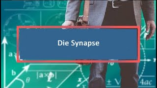 Die Synapse [upl. by Shepherd873]