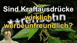 Der Entmonetarisierungshorror  Sind meine Videos wirklich Werbeunfreundlich [upl. by Brandise469]