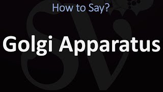 How to Pronounce Golgi Apparatus CORRECTLY [upl. by Nilesoy]