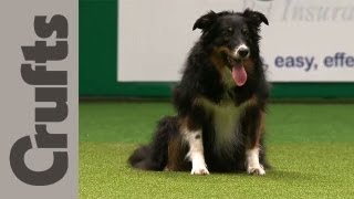 Crufts Obedience Winners 2012  Crufts 2012 [upl. by Marvin]