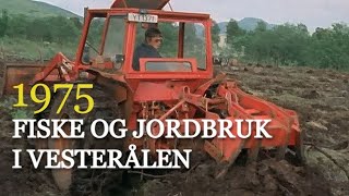 Fiske og jordbruk  er det fremtiden for Vesterålen 1975 [upl. by Inajna159]