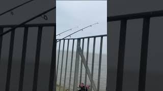 Got the rods out on Gorleston Pier [upl. by Ordep136]