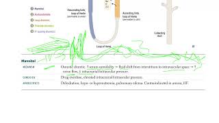 53 Mannitol  Osmotic Diuretic [upl. by Lihka857]