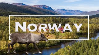 TOP 10 Best Places to Visit in Norway  The ULTIMATE Norway Travel Guide Video [upl. by Lathrop121]